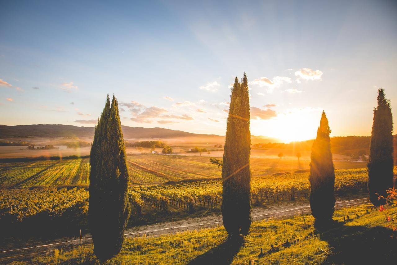 Casali Di Bibbiano Villa Buonconvento Exterior foto
